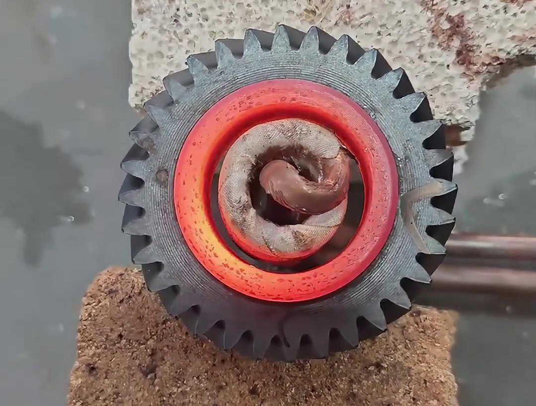 054F010167317F69074A46130C641485.jpg 054F010167317F69074A46130C641485.jpg